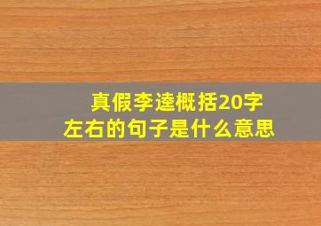 真假李逵概括20字左右的句子是什么意思