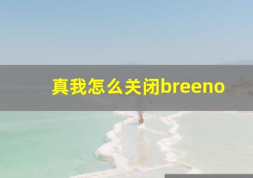 真我怎么关闭breeno