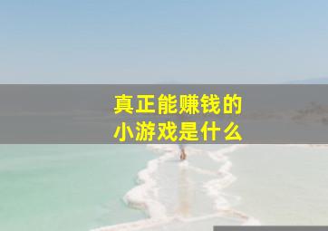 真正能赚钱的小游戏是什么