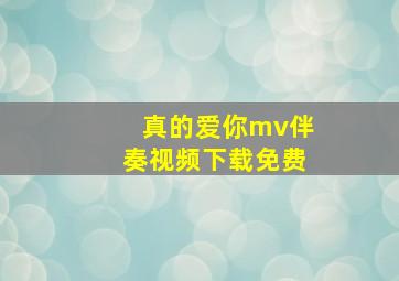 真的爱你mv伴奏视频下载免费