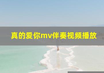 真的爱你mv伴奏视频播放