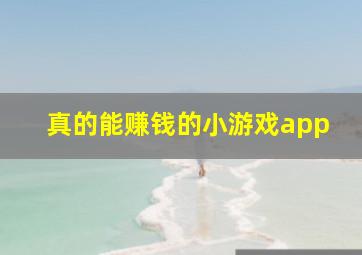 真的能赚钱的小游戏app