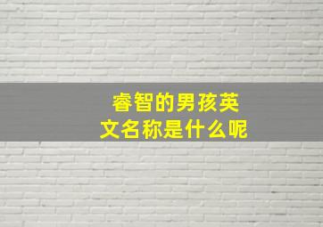 睿智的男孩英文名称是什么呢