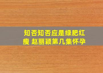 知否知否应是绿肥红瘦 赵丽颖第几集怀孕