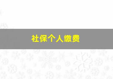 社保个人缴费