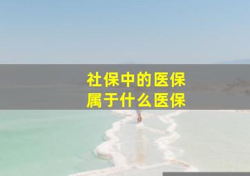 社保中的医保属于什么医保