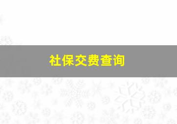 社保交费查询