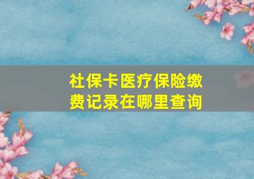 社保卡医疗保险缴费记录在哪里查询