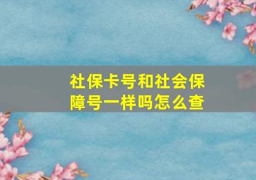 社保卡号和社会保障号一样吗怎么查