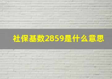 社保基数2859是什么意思