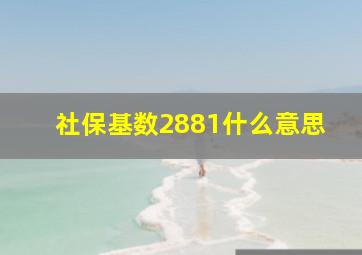 社保基数2881什么意思