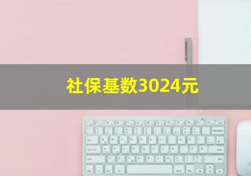 社保基数3024元