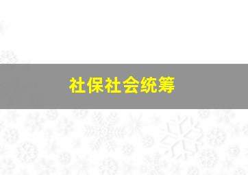 社保社会统筹