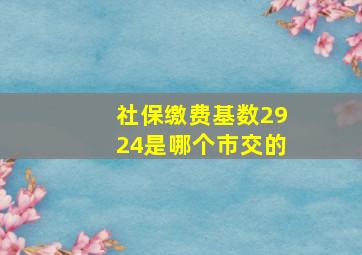 社保缴费基数2924是哪个市交的