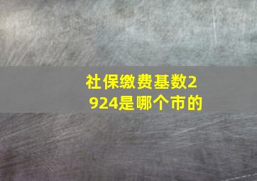 社保缴费基数2924是哪个市的