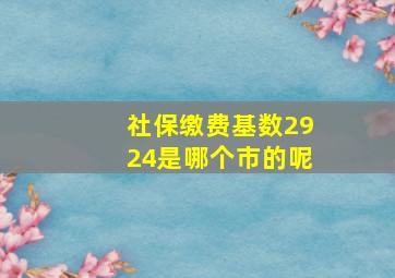 社保缴费基数2924是哪个市的呢