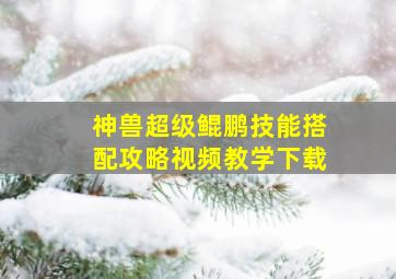 神兽超级鲲鹏技能搭配攻略视频教学下载