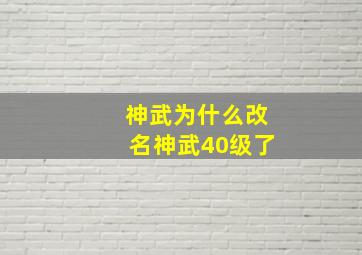 神武为什么改名神武40级了