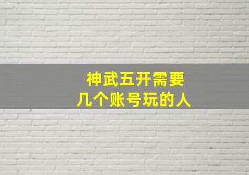 神武五开需要几个账号玩的人