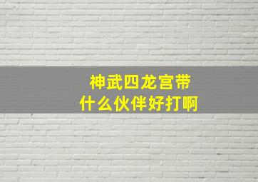 神武四龙宫带什么伙伴好打啊