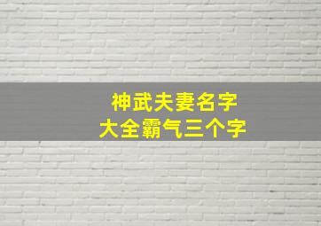 神武夫妻名字大全霸气三个字