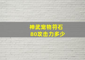 神武宠物符石80攻击力多少