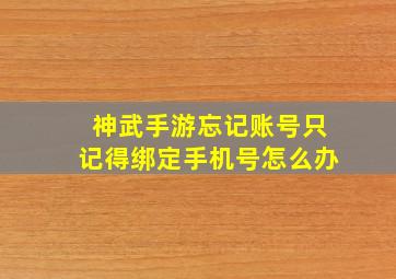 神武手游忘记账号只记得绑定手机号怎么办