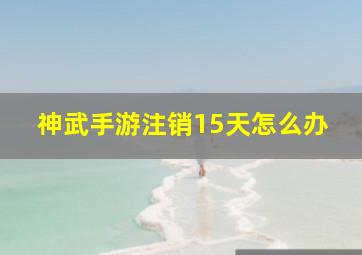 神武手游注销15天怎么办