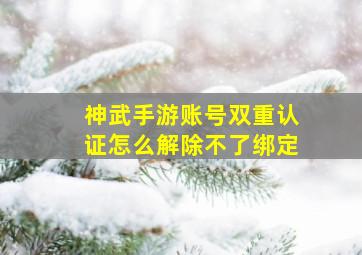 神武手游账号双重认证怎么解除不了绑定