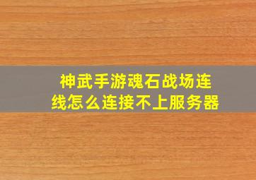 神武手游魂石战场连线怎么连接不上服务器