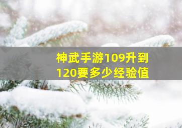 神武手游109升到120要多少经验值