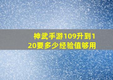 神武手游109升到120要多少经验值够用