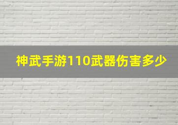 神武手游110武器伤害多少