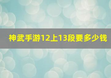 神武手游12上13段要多少钱