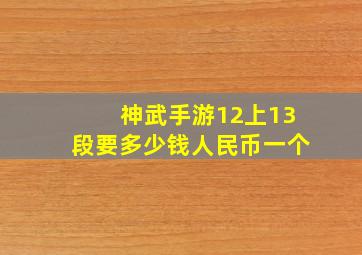 神武手游12上13段要多少钱人民币一个