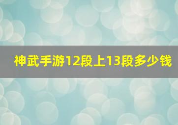 神武手游12段上13段多少钱