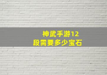 神武手游12段需要多少宝石