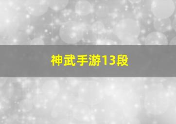 神武手游13段