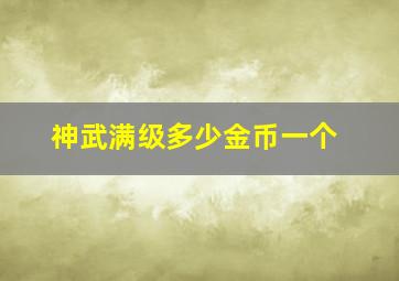 神武满级多少金币一个