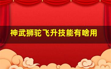 神武狮驼飞升技能有啥用