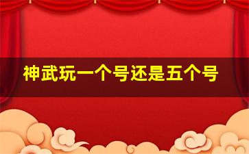 神武玩一个号还是五个号