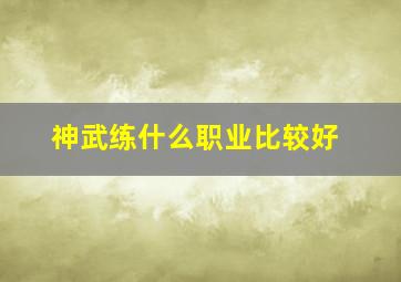 神武练什么职业比较好