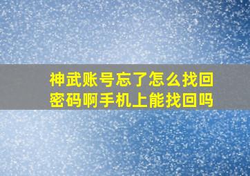 神武账号忘了怎么找回密码啊手机上能找回吗