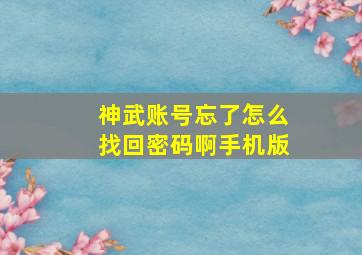 神武账号忘了怎么找回密码啊手机版