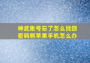 神武账号忘了怎么找回密码啊苹果手机怎么办