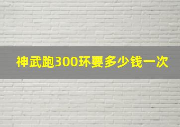 神武跑300环要多少钱一次