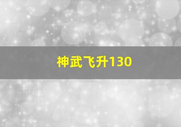 神武飞升130