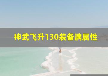 神武飞升130装备满属性