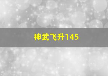 神武飞升145