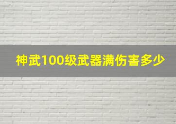 神武100级武器满伤害多少